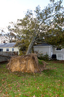 Hurricane Sandy Damage