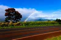 North Shore Rainbow - Oahu