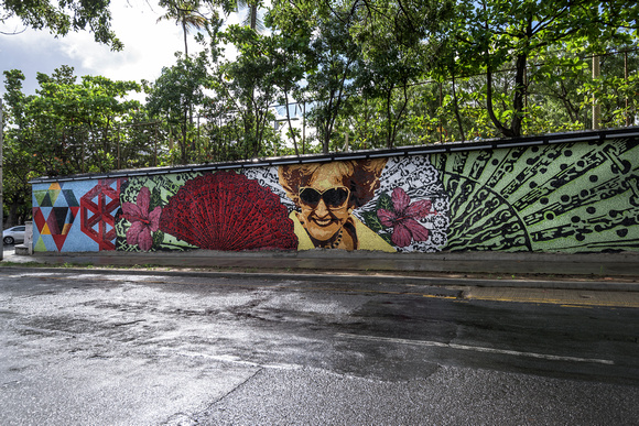 Walk along Avenida Munoz Rivera - Wall dedicated to the first woman mayor of San Juan, Dona Fela.