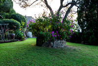 The garden at The Chia House