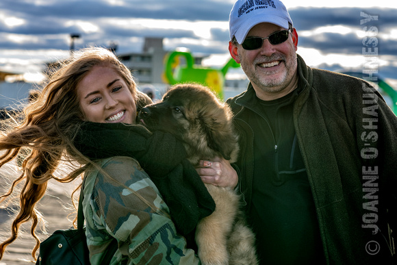 Leonberger and friends - - Asbury Park - New Year's Day - 2019