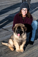 Liz and The Leonberger pup