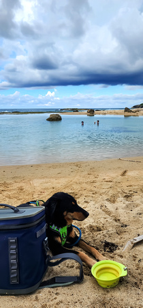 Ronan at Pozo Golondrinas