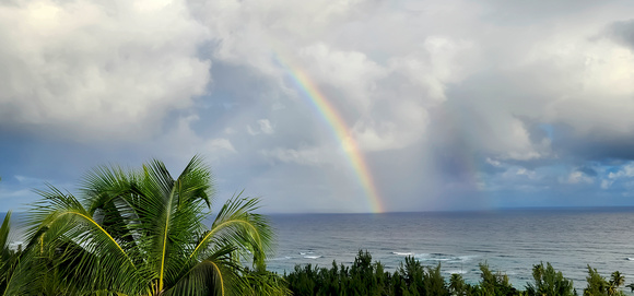 Rainbow out back